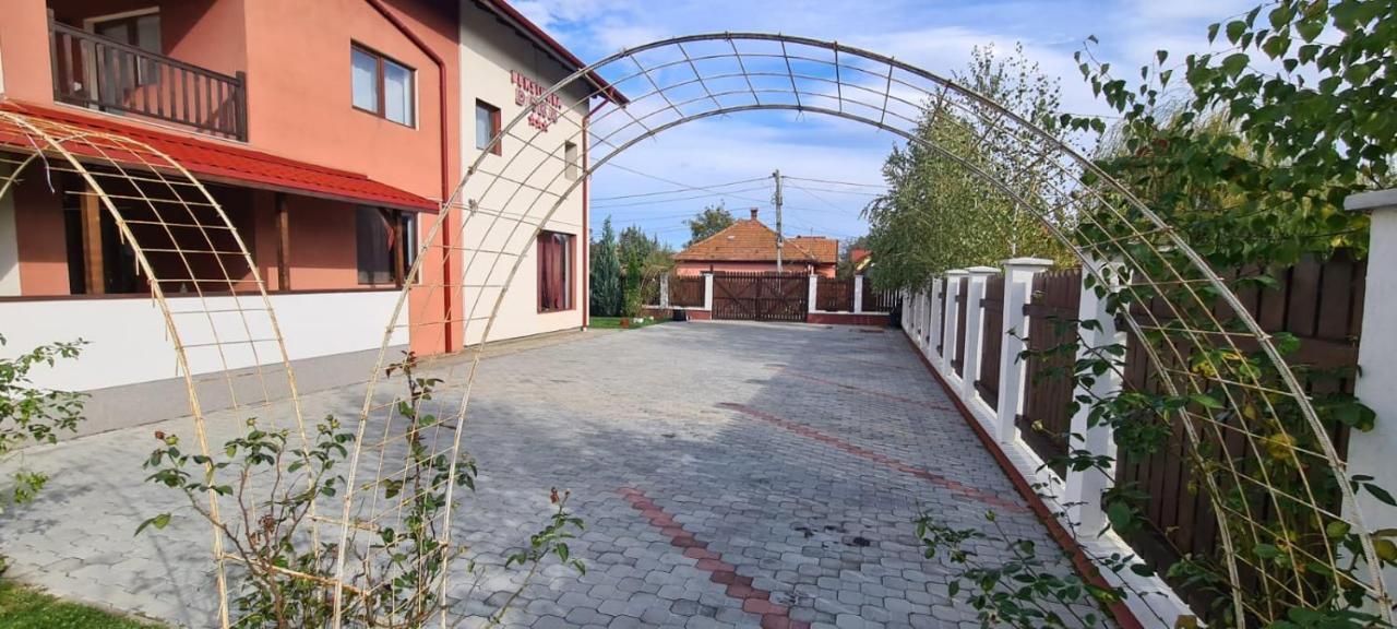 Pensiunea Dara Râșnov Zewnętrze zdjęcie